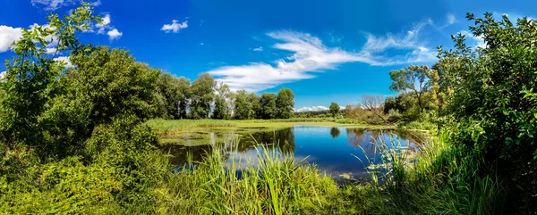 Panorama över sommaren morgon sjö — Stockfoto