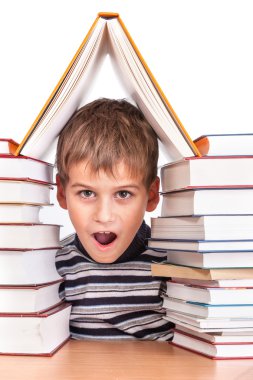 öğrenci ve bir yığın kitap