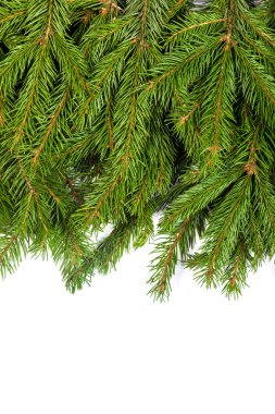 Noel arkaplanı. Eve çerçevesi