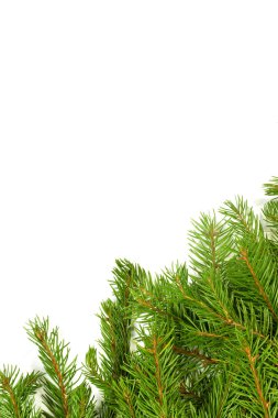 Noel arkaplanı. Eve çerçevesi