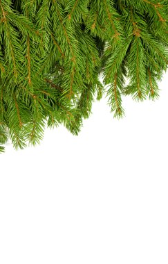 Noel arkaplanı. Eve çerçevesi