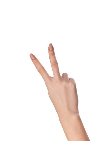 Hand gesture number four closeup isolated on white — Stock Photo, Image