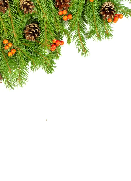 Kerst achtergrond. Eva kader — Stockfoto