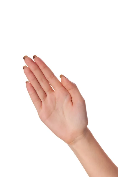 Vrouwelijke palm handgebaar, geïsoleerd op wit — Stockfoto