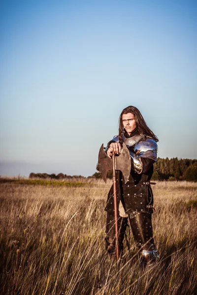 Medieval knight — Stock Photo, Image