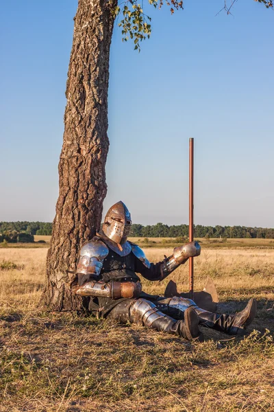 Medieval knight Stock Picture