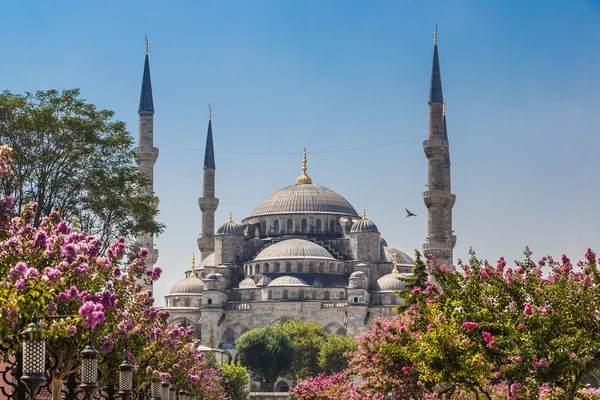 A Mesquita Azul, (Sultanahmet Camii), Istambul, Turquia — Fotografia de Stock