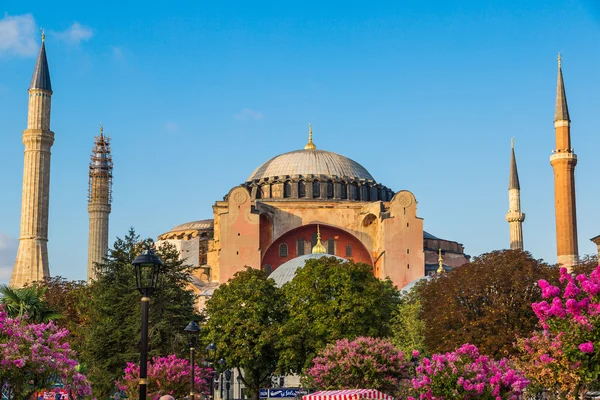 Hagia Sophia, the monument most famous of Istanbul - Turkey — Stock Photo, Image