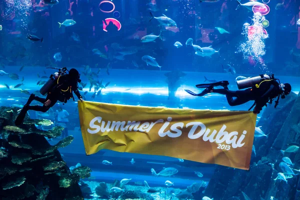 El acuario más grande del mundo en Dubai Mall —  Fotos de Stock