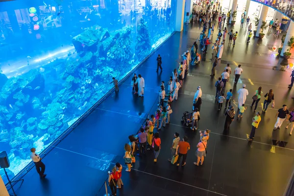 Größtes Aquarium der Welt in Dubai Mall — Stockfoto