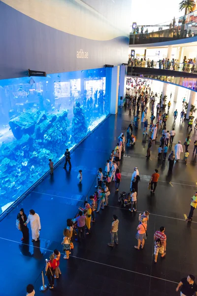 Крупнейший в мире аквариум в Dubai Mall — стоковое фото