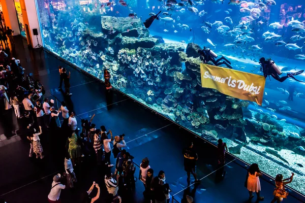 El acuario más grande del mundo en Dubai Mall — Foto de Stock