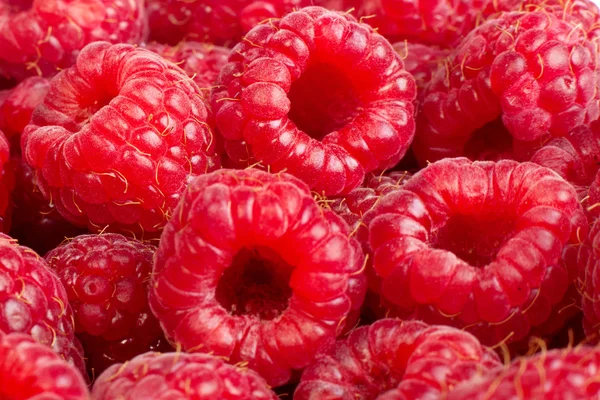 Framboesas maduras fundo de frutas. isolado em branco — Fotografia de Stock