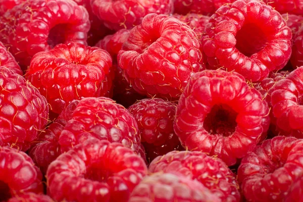 Framboesas maduras fundo de frutas. isolado em branco — Fotografia de Stock