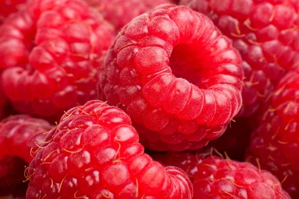 Fundo de rasberry maduro. Fechar macro tiro de framboesas — Fotografia de Stock