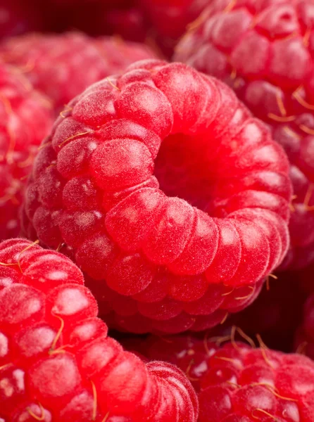 Fundo de rasberry maduro. Fechar macro tiro de framboesas — Fotografia de Stock