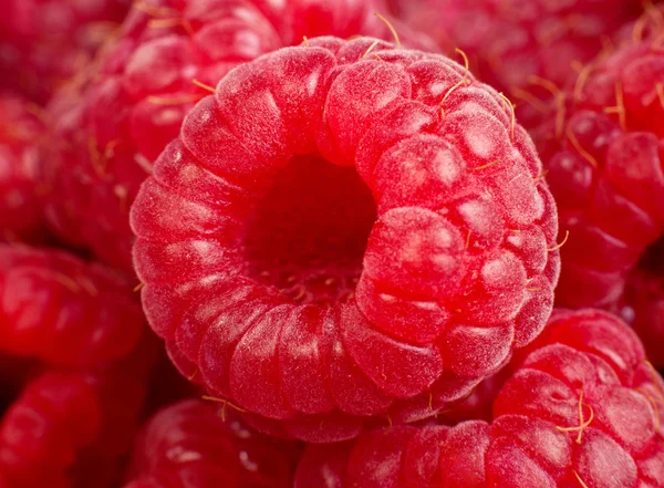 Fundo de rasberry maduro. Fechar macro tiro de framboesas — Fotografia de Stock