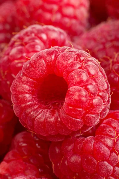 Ripe rasberry background. Close up macro shot of raspberries — Stock Photo, Image