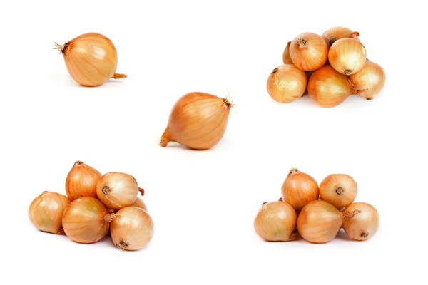 Zestaw cebuli, na białym tle — Zdjęcie stockowe