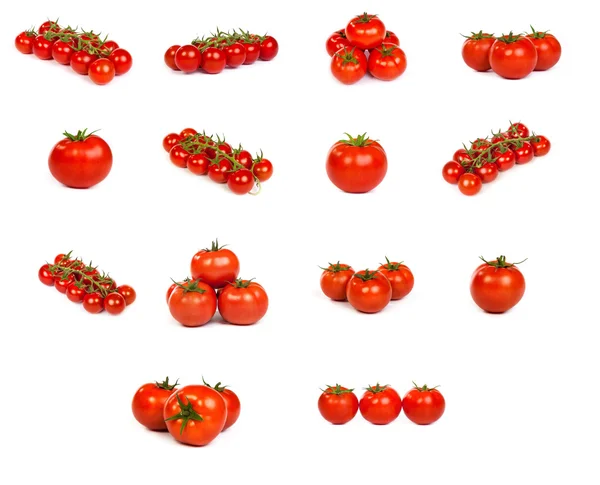 Zbiór pomidorów na białym tle — Zdjęcie stockowe