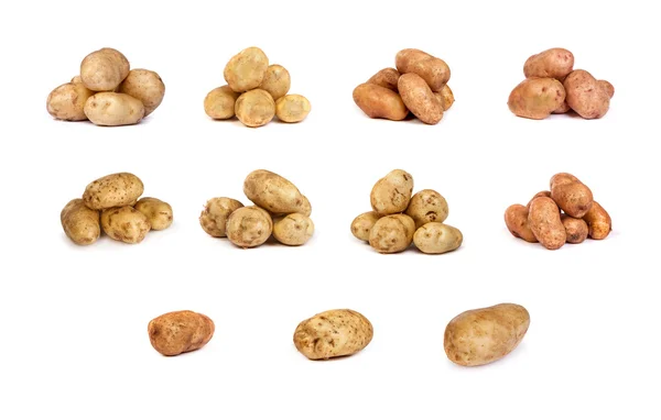 Serie di patate isolate su bianco — Foto Stock