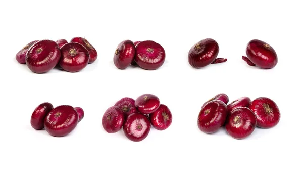 Set van een rode uien, geïsoleerd op wit — Stockfoto