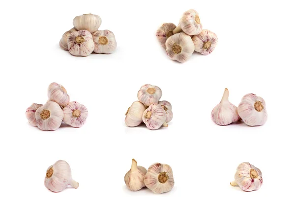 Set of garlics . A heads of garlics isolated — Stock Photo, Image