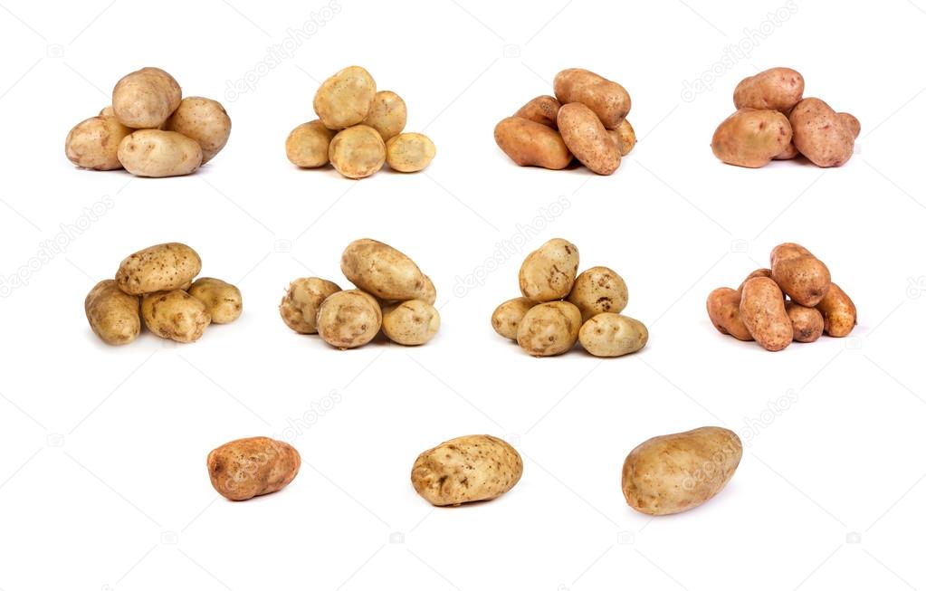 set of potatoes isolated on white