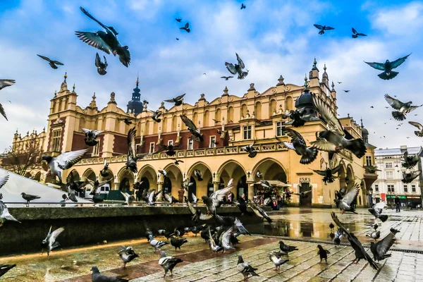 Muchas palomas en la vieja ciudad de Cracovia . — Foto de Stock