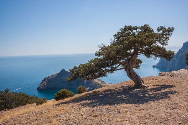 Praia de Sudak. Mar Negro, Ucrânia — Fotografia de Stock