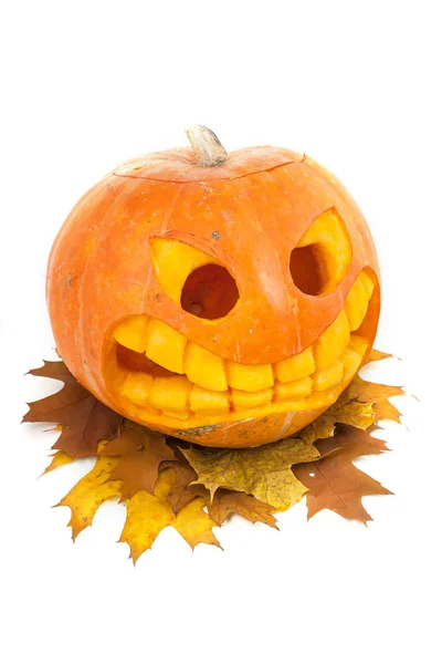 Zucca di Halloween — Foto Stock