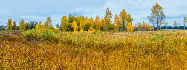 Hösten skogen panorama — Stockfoto