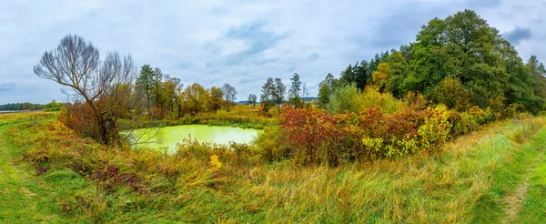 Skogstjärn i höst. Panorama — Stockfoto