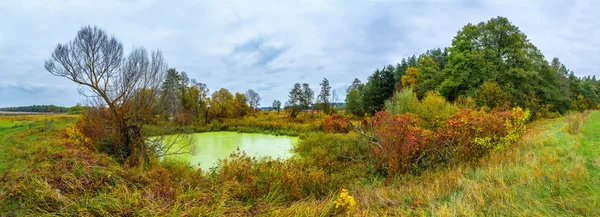 Лесное озеро осенью. Панорама — стоковое фото