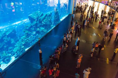 dubai Mall dünyanın en büyük Akvaryumu