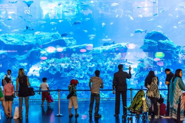 dubai Mall dünyanın en büyük Akvaryumu