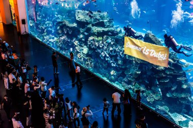 dubai Mall Dünya Akvaryum
