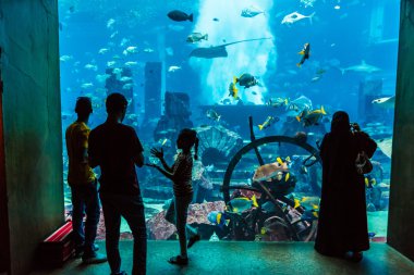 hotel atlantis Dubai dev akvaryum