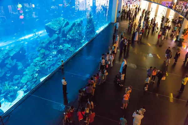 大的水族馆的世界在迪拜购物中心 — 图库照片