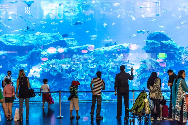 Största akvarium i världen i dubai mall — Stockfoto