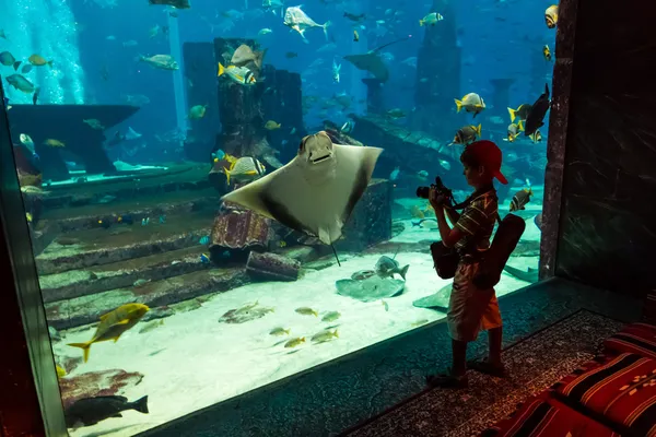 Aquarium dans un hôtel Atlantis à Dubai — Photo