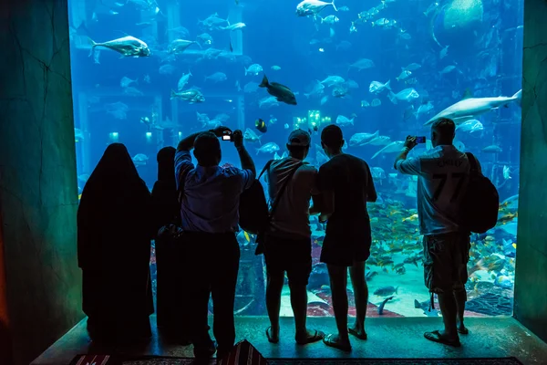 Stort akvarium på et hotell i Dubai på Palm Islands. – stockfoto