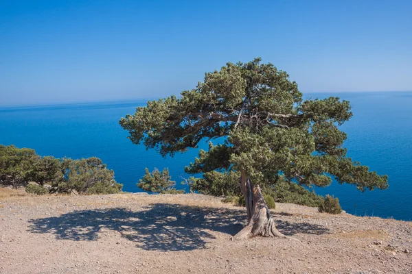 夏天视图海岸。苏达克海滩。乌克兰黑海 — 图库照片