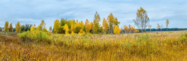 Herbstliches Waldpanorama — Stockfoto