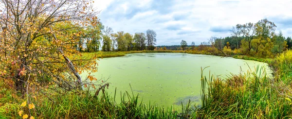 Waldsee im Herbst. Panorama — Stockfoto