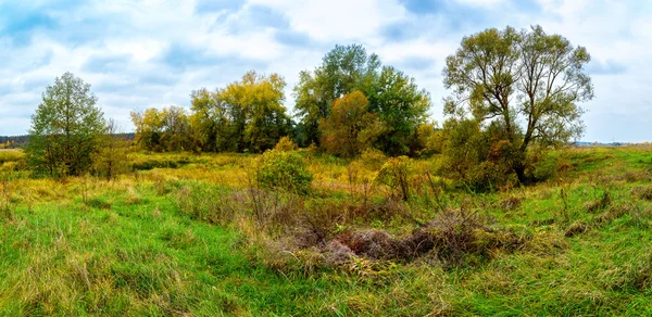 Панорама осеннего леса — стоковое фото