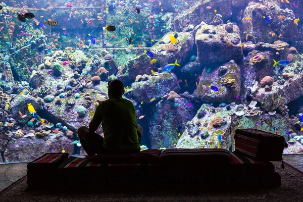 Enorme acuario en un hotel Atlantis en Dubai en las islas Palm —  Fotos de Stock