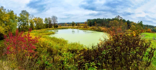 Floresta lago no outono. Panorama — Fotografia de Stock