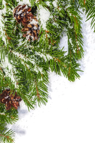 Julbakgrund. Eva-ramen — Stockfoto