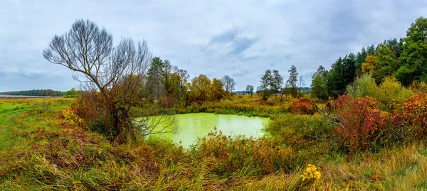 秋の森の湖。パノラマ — ストック写真